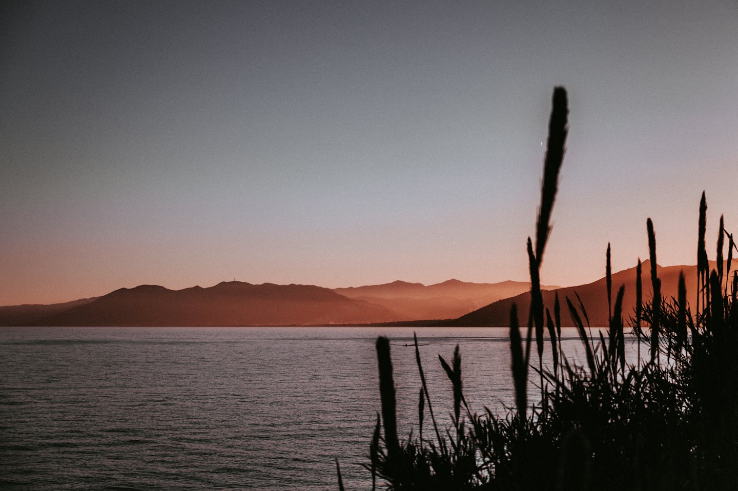 Tall grasses frame a serene lake reflecting a colorful sunset sky.