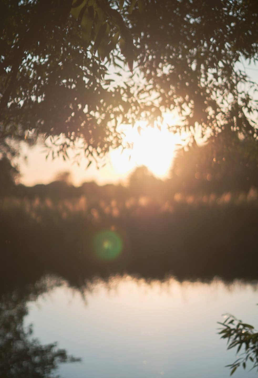 Sunlight filters through tree leaves over a reflecting lake.